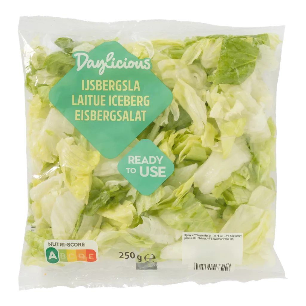 Laitue iceberg