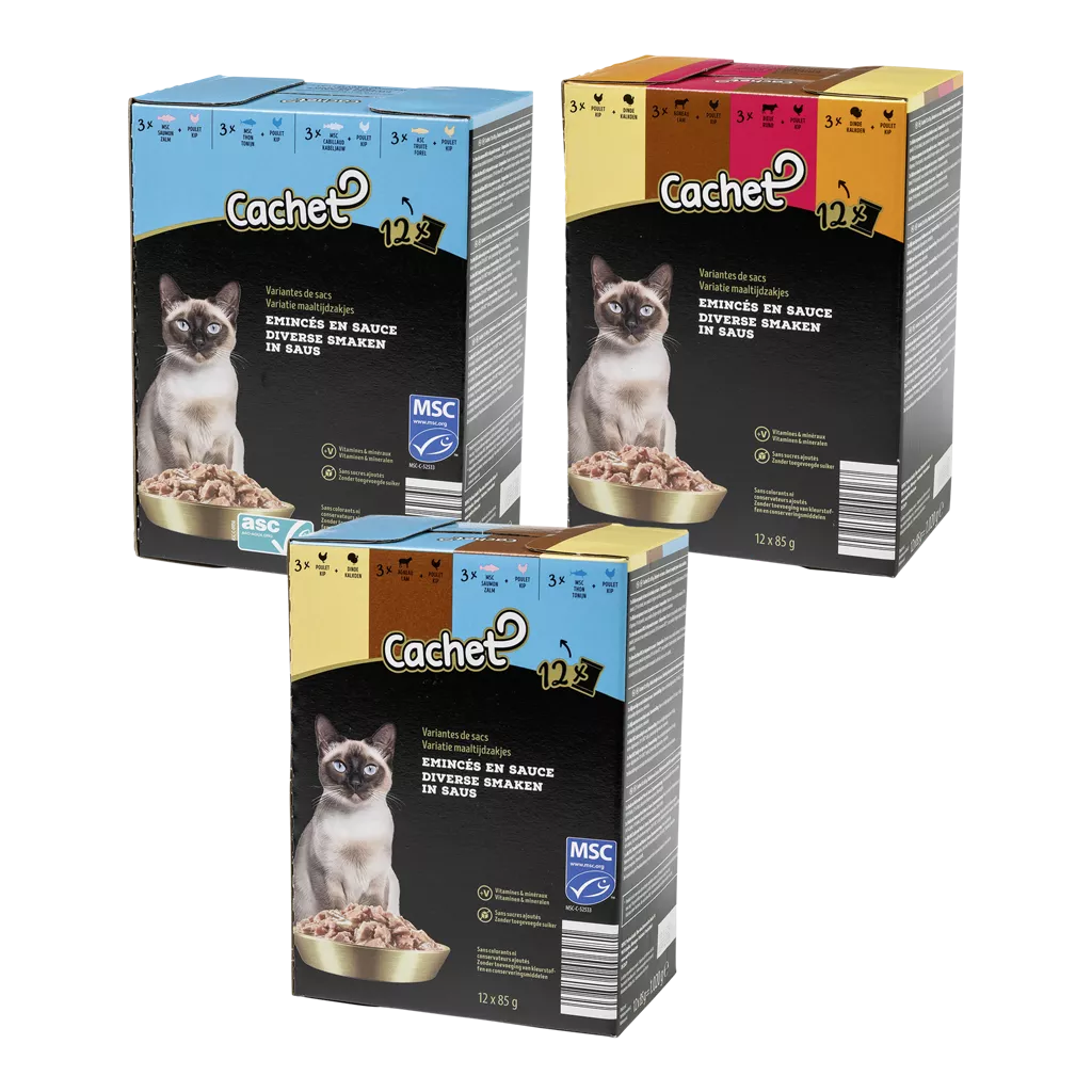 Aliment premium pour chats, 12 pcs