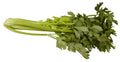 céleri vert